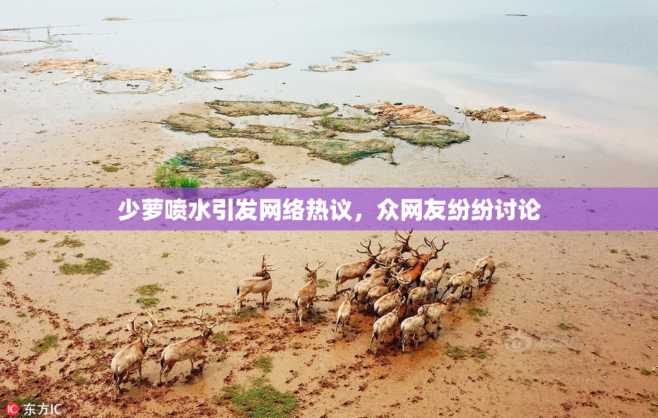 少萝喷水引发网络热议，众网友纷纷讨论
