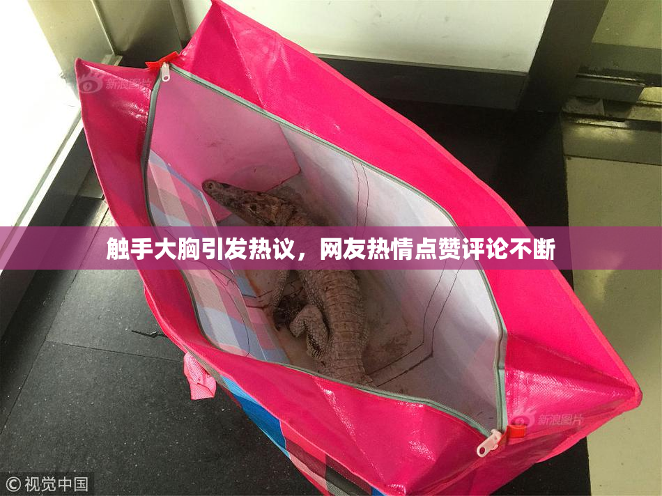 触手大胸引发热议，网友热情点赞评论不断