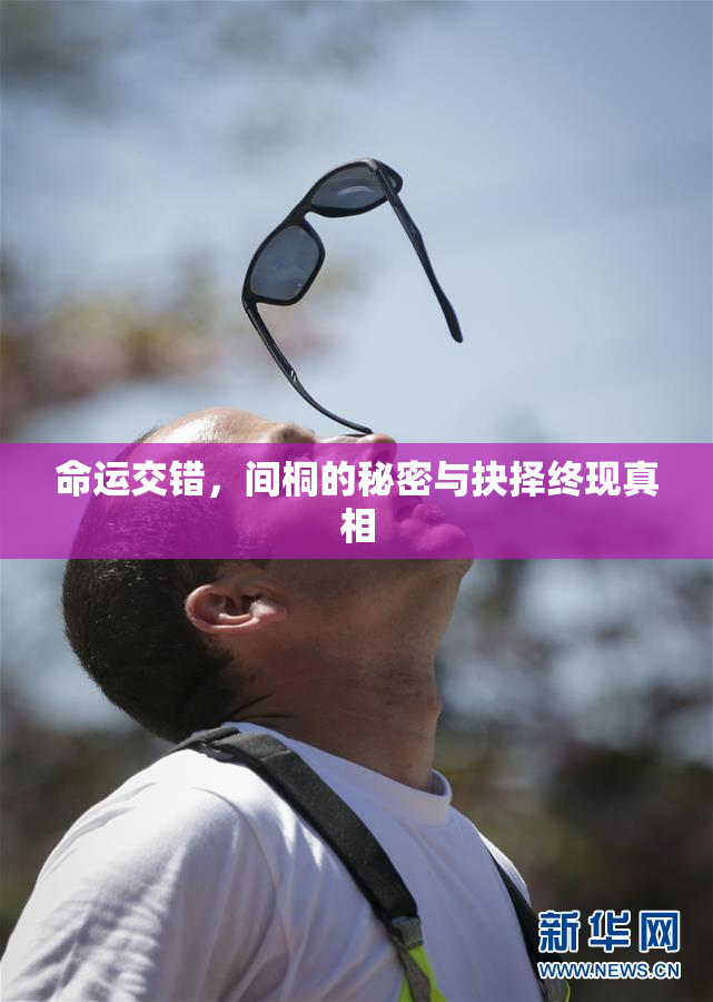 命运交错，间桐的秘密与抉择终现真相