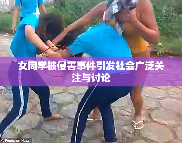 女同学被侵害事件引发社会广泛关注与讨论