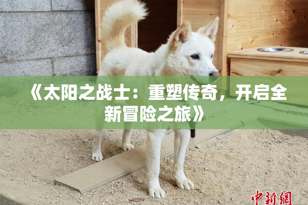 《太阳之战士：重塑传奇，开启全新冒险之旅》