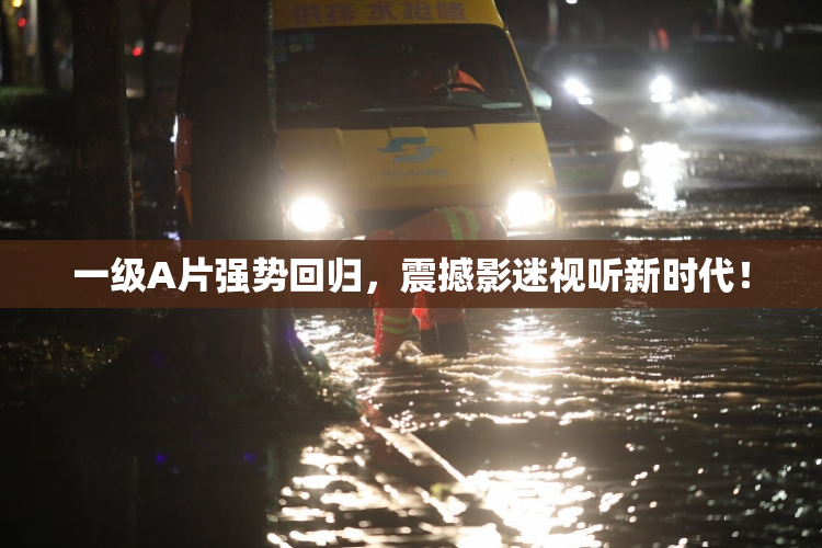 一级A片强势回归，震撼影迷视听新时代！