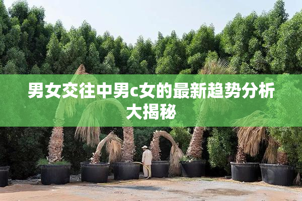 男女交往中男c女的最新趋势分析大揭秘