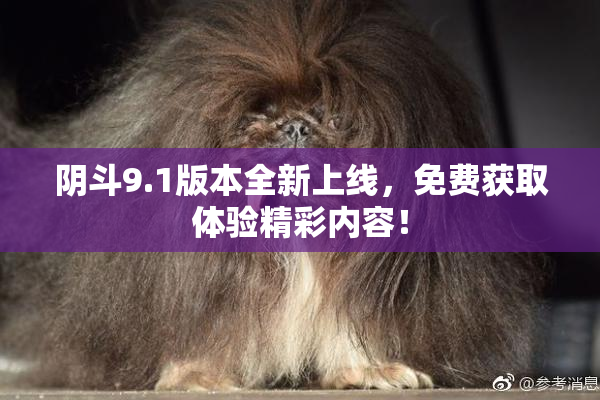 阴斗9.1版本全新上线，免费获取体验精彩内容！