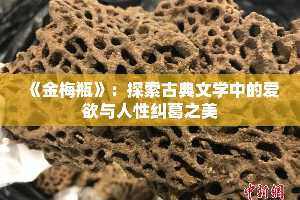 《金梅瓶》：探索古典文学中的爱欲与人性纠葛之美