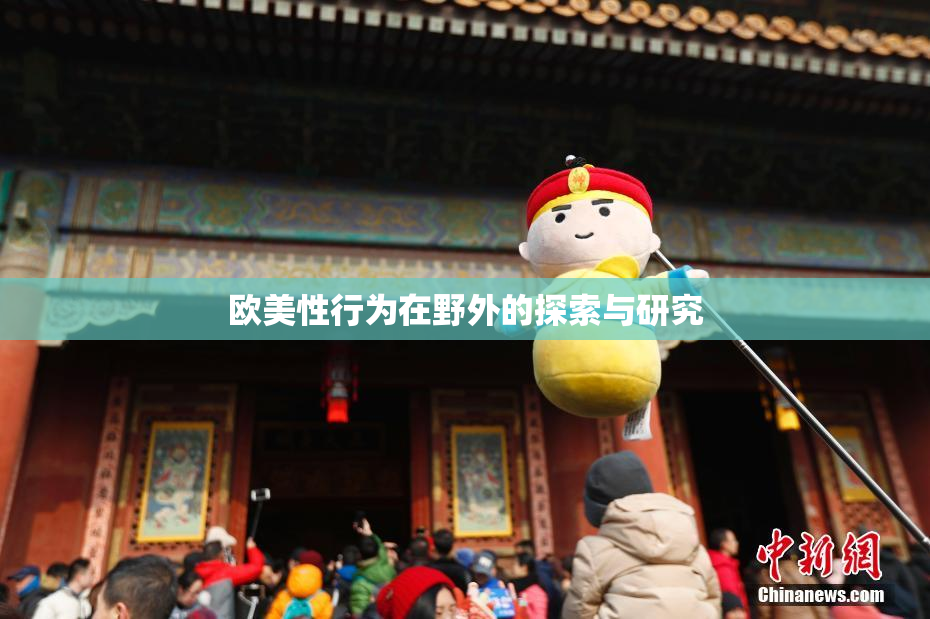 欧美性行为在野外的探索与研究