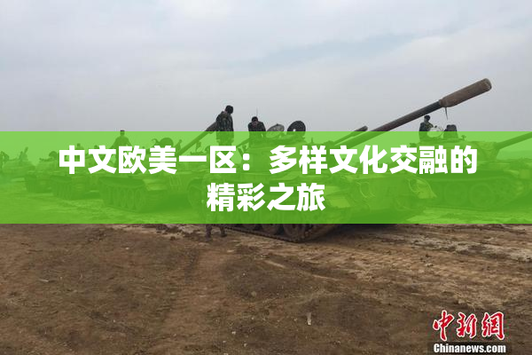 中文欧美一区：多样文化交融的精彩之旅