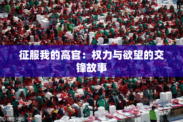 征服我的高官：权力与欲望的交锋故事