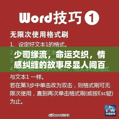少司缘流，命运交织，情感纠缠的故事尽显人间百态