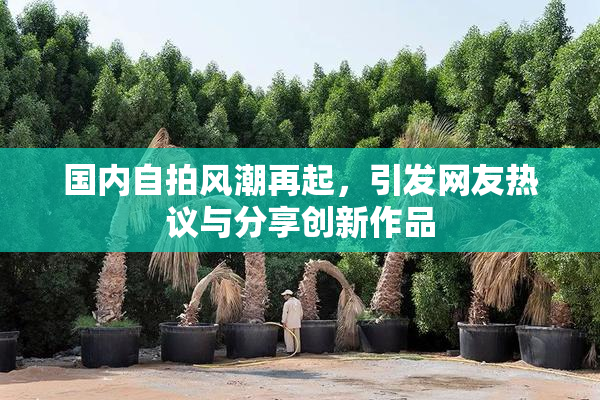 国内自拍风潮再起，引发网友热议与分享创新作品