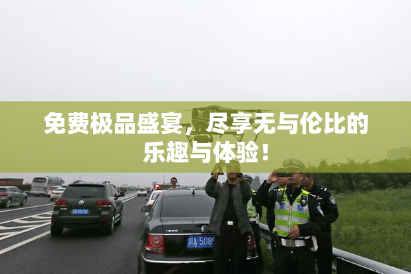 免费极品盛宴，尽享无与伦比的乐趣与体验！