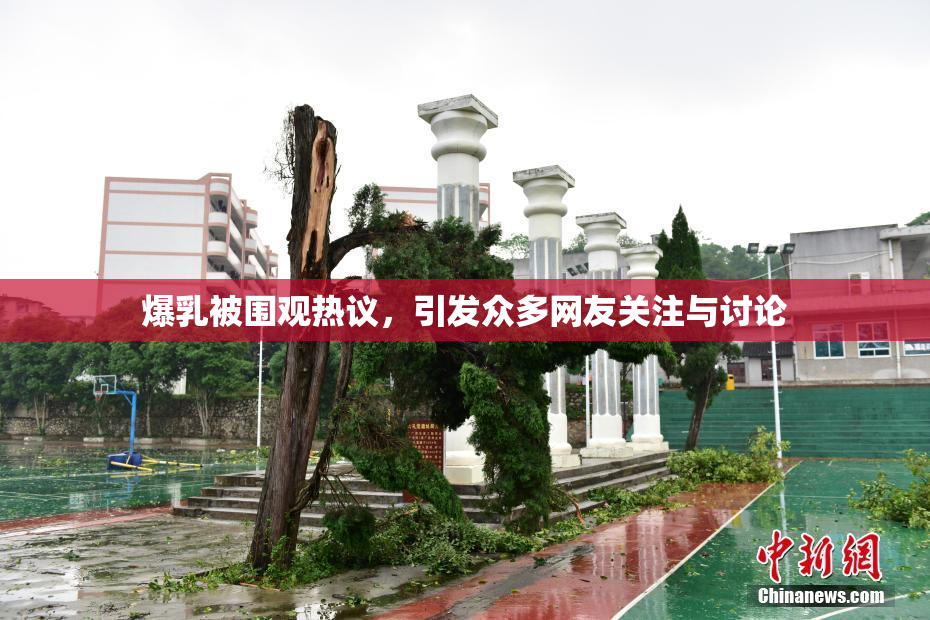 爆乳被围观热议，引发众多网友关注与讨论