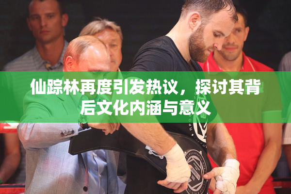 仙踪林再度引发热议，探讨其背后文化内涵与意义