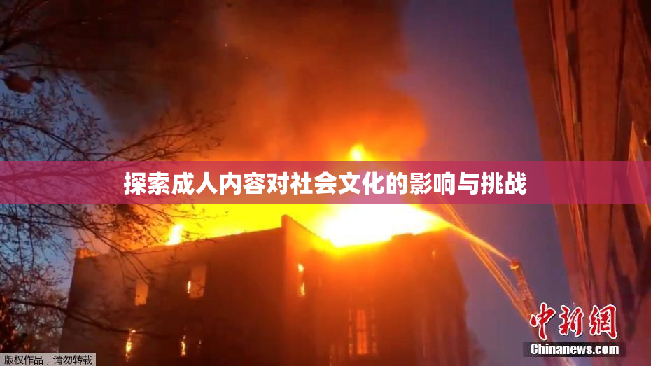 探索成人内容对社会文化的影响与挑战