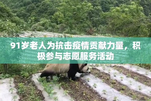 91岁老人为抗击疫情贡献力量，积极参与志愿服务活动