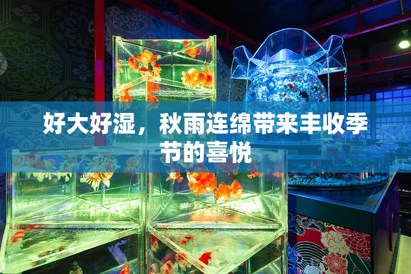 好大好湿，秋雨连绵带来丰收季节的喜悦