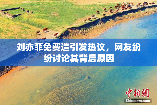 刘亦菲免费造引发热议，网友纷纷讨论其背后原因
