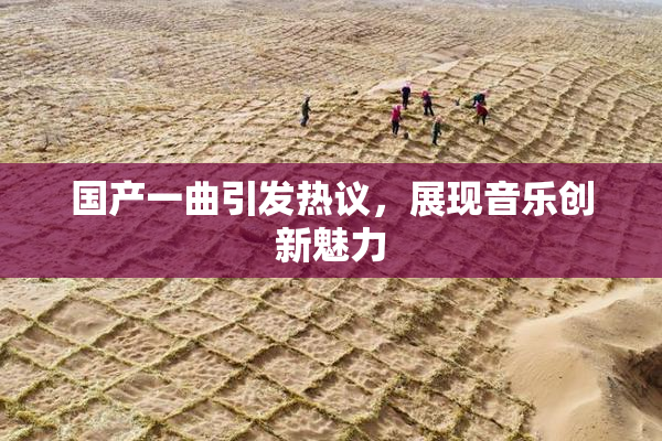 国产一曲引发热议，展现音乐创新魅力
