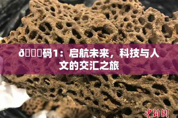 🈚码1：启航未来，科技与人文的交汇之旅