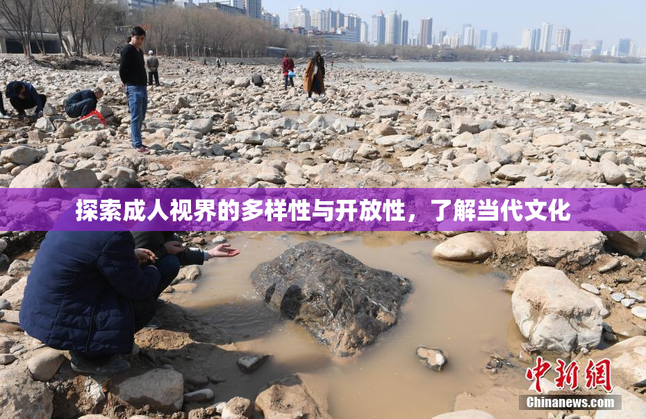 探索成人视界的多样性与开放性，了解当代文化
