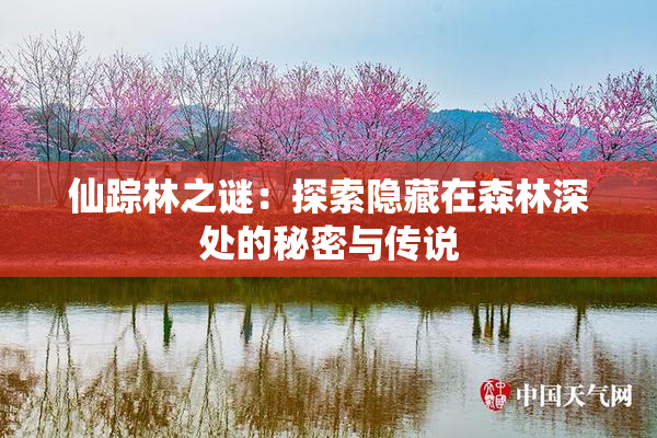 仙踪林之谜：探索隐藏在森林深处的秘密与传说
