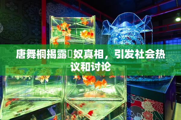 唐舞桐揭露婬奴真相，引发社会热议和讨论