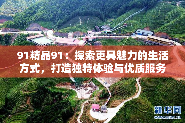 91精品91：探索更具魅力的生活方式，打造独特体验与优质服务