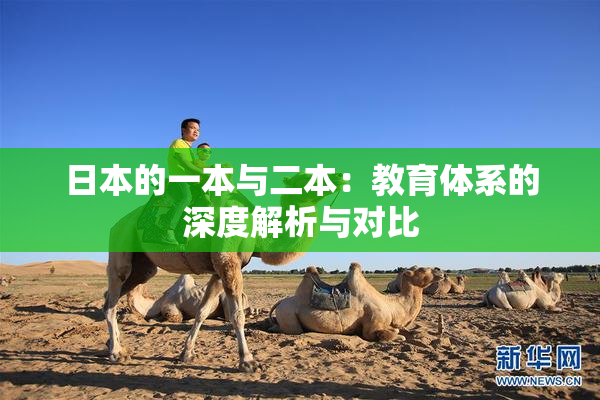 日本的一本与二本：教育体系的深度解析与对比