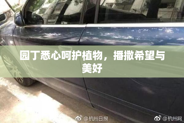 园丁悉心呵护植物，播撒希望与美好