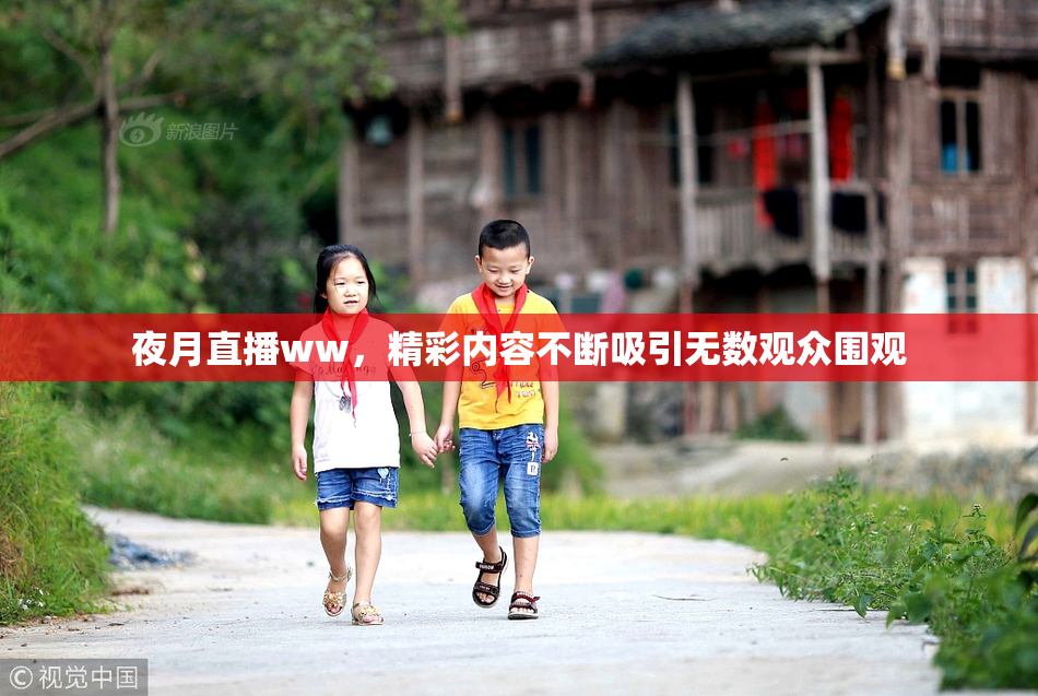 夜月直播ww，精彩内容不断吸引无数观众围观