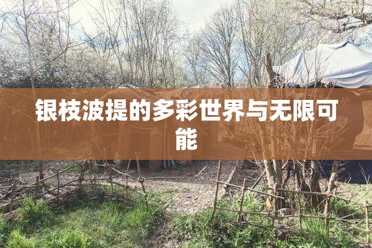 银枝波提的多彩世界与无限可能
