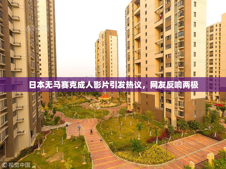 日本无马赛克成人影片引发热议，网友反响两极