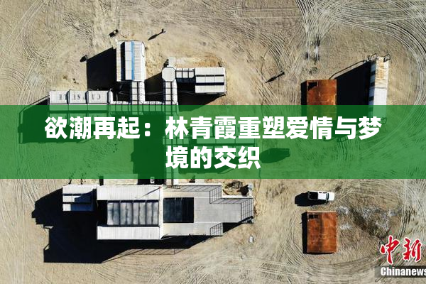 欲潮再起：林青霞重塑爱情与梦境的交织