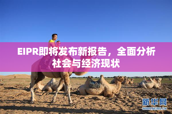 EIPR即将发布新报告，全面分析社会与经济现状