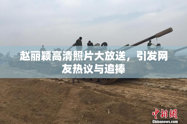 赵丽颖高清照片大放送，引发网友热议与追捧