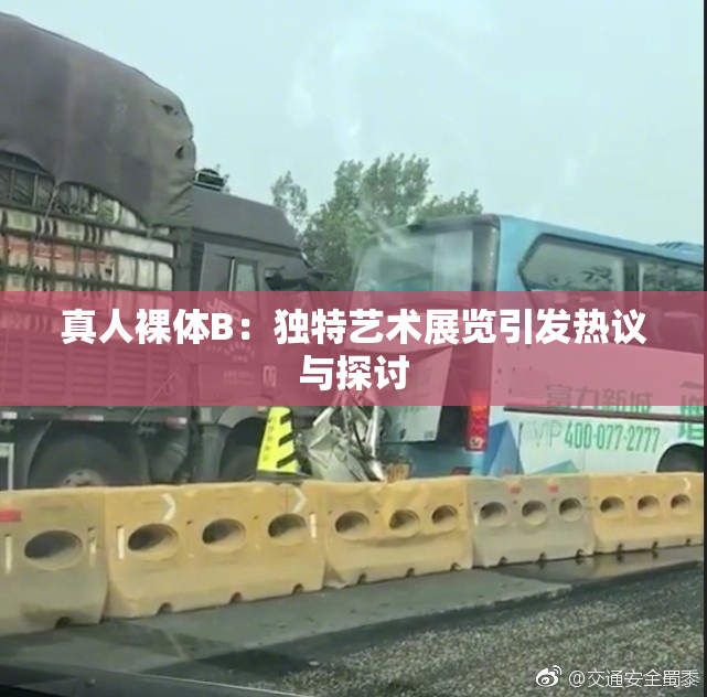 真人裸体B：独特艺术展览引发热议与探讨