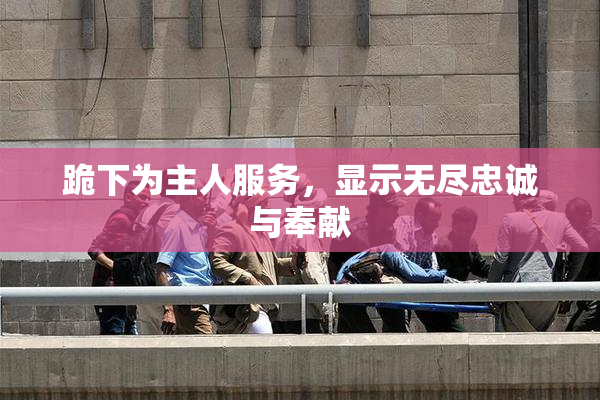跪下为主人服务，显示无尽忠诚与奉献
