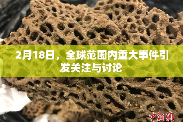 2月18日，全球范围内重大事件引发关注与讨论