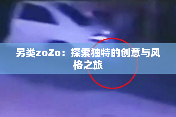 另类zoZo：探索独特的创意与风格之旅