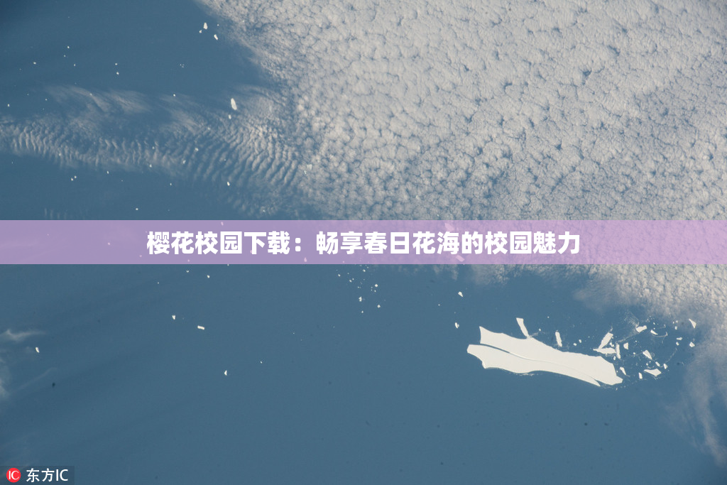 樱花校园下载：畅享春日花海的校园魅力