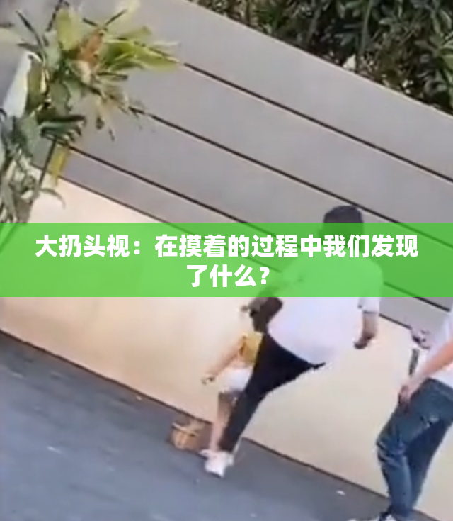 大扔头视：在摸着的过程中我们发现了什么？