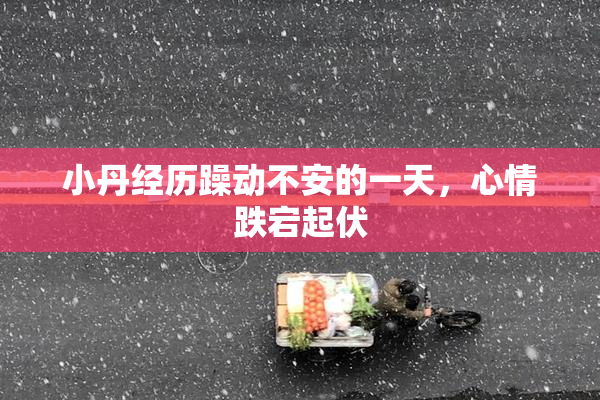 小丹经历躁动不安的一天，心情跌宕起伏