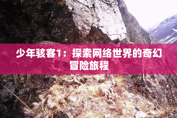 少年骇客1：探索网络世界的奇幻冒险旅程
