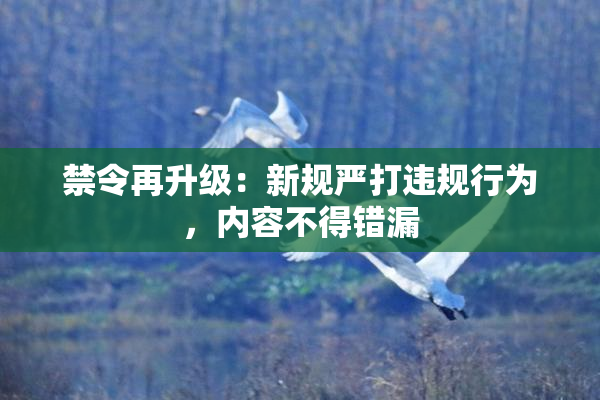 禁令再升级：新规严打违规行为，内容不得错漏