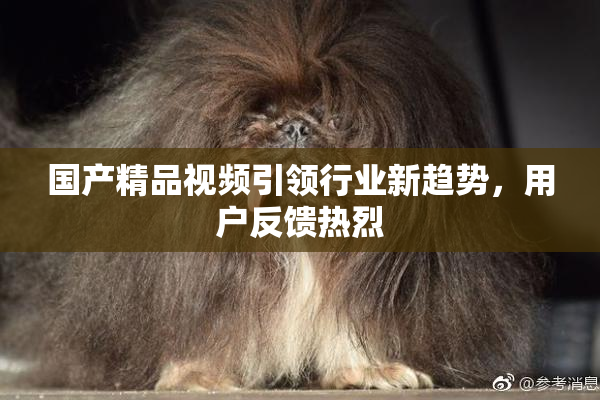 国产精品视频引领行业新趋势，用户反馈热烈