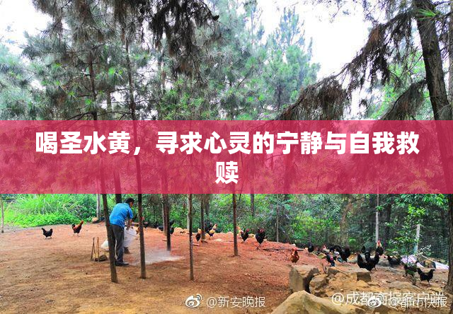 喝圣水黄，寻求心灵的宁静与自我救赎