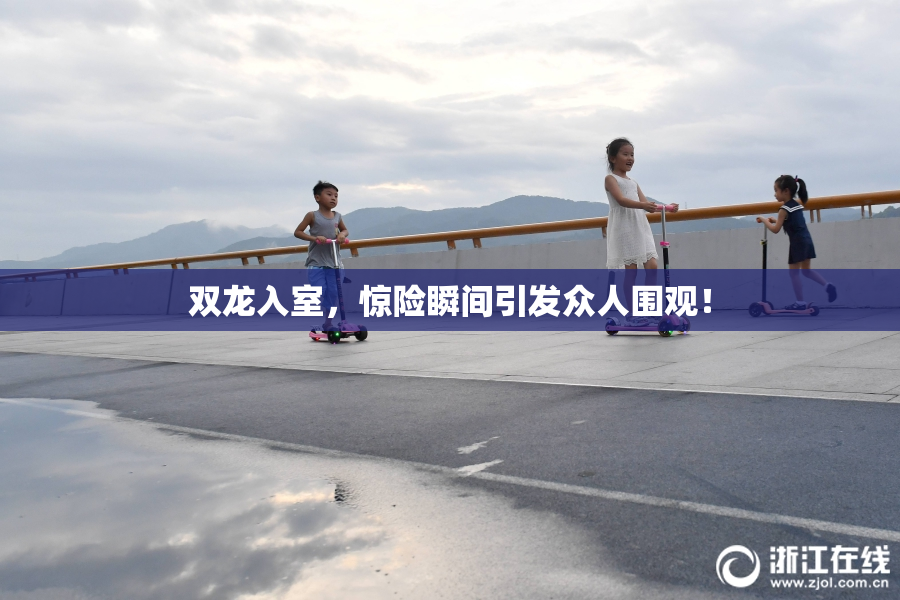 双龙入室，惊险瞬间引发众人围观！