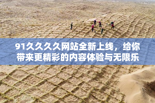 91久久久久网站全新上线，给你带来更精彩的内容体验与无限乐趣！