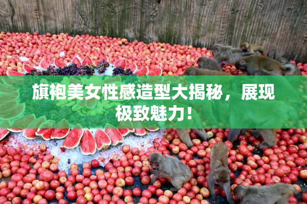 旗袍美女性感造型大揭秘，展现极致魅力！