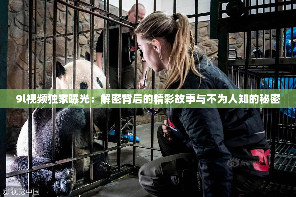 9l视频独家曝光：解密背后的精彩故事与不为人知的秘密